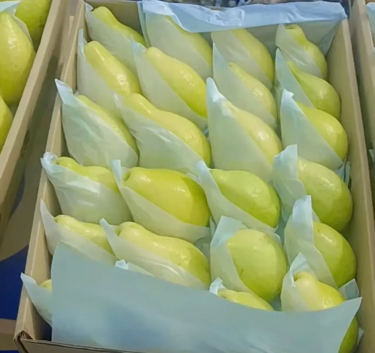 Sorting and grading facility