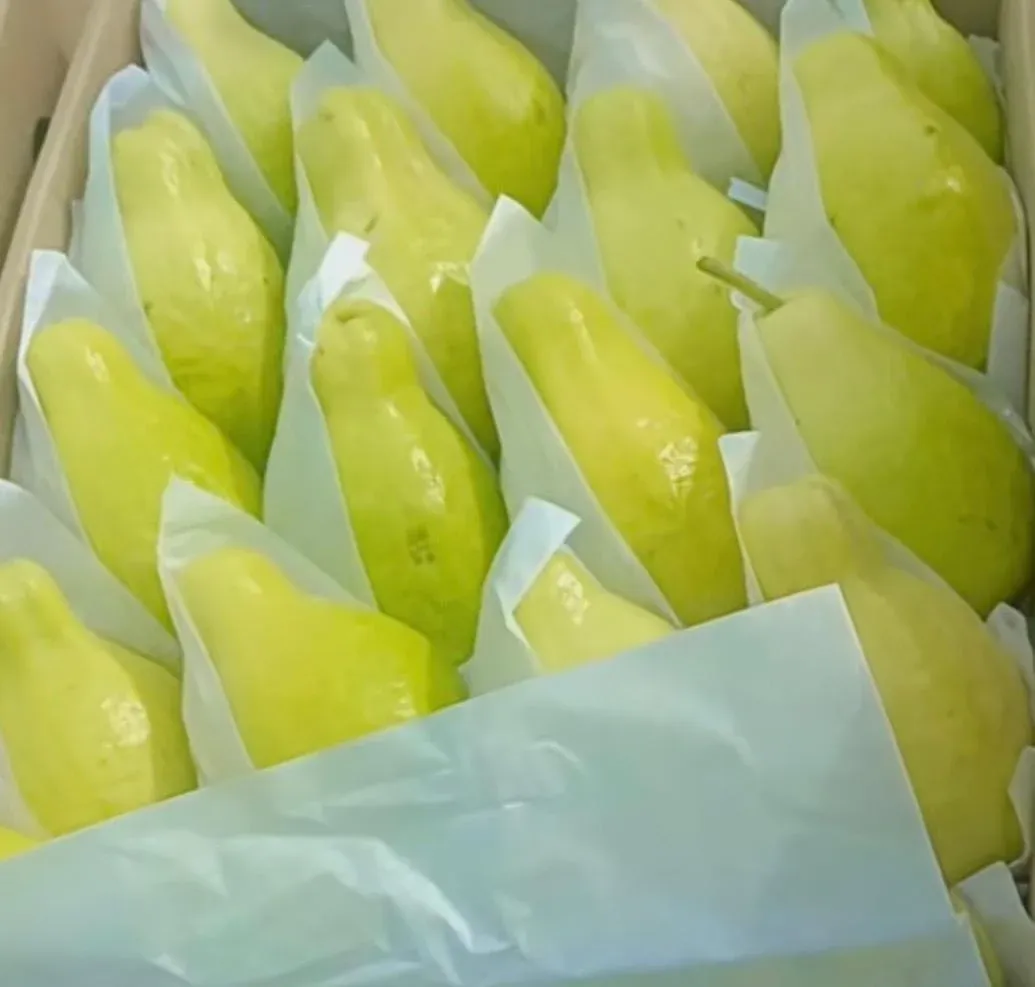 Harvest season at our farms