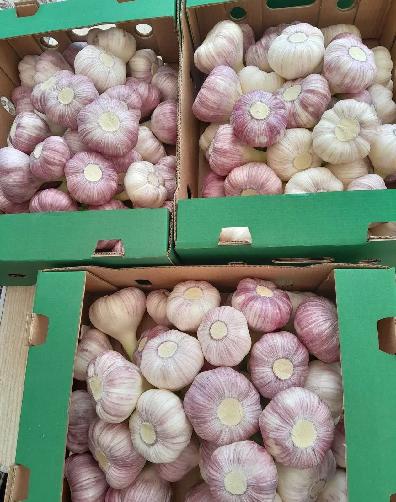 Export-ready pallets