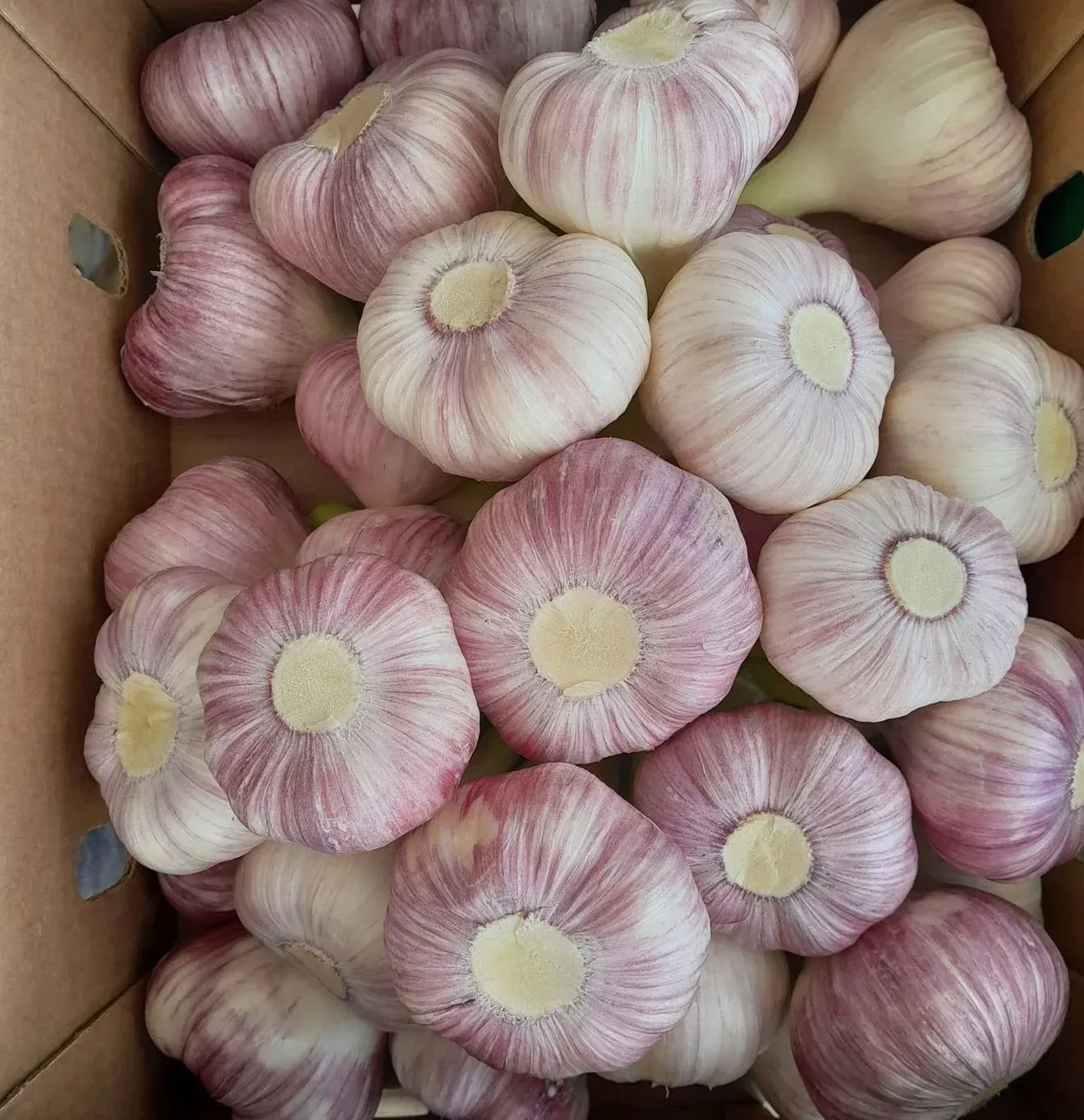 International shipment departure