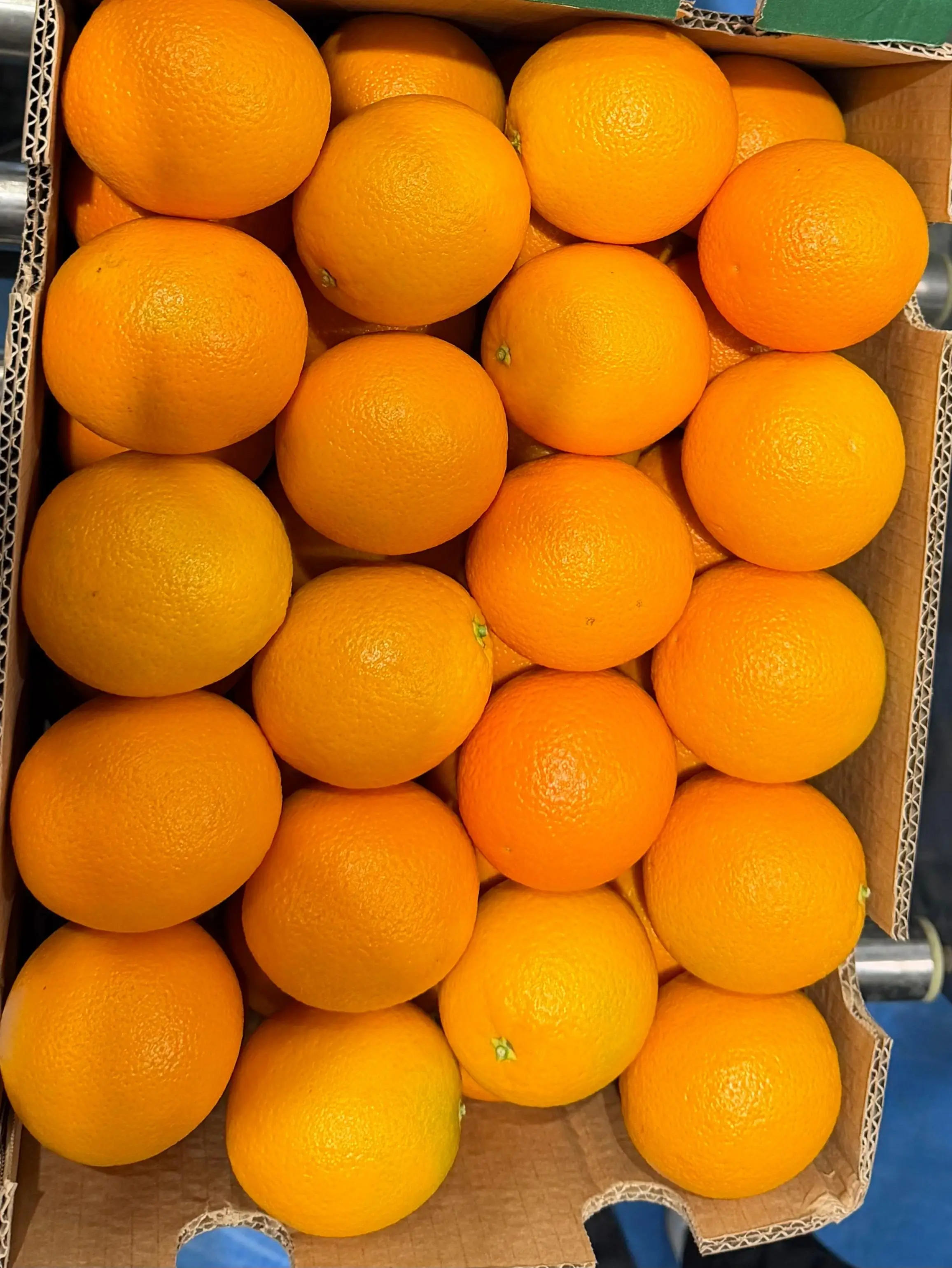 Fresh oranges packed in box