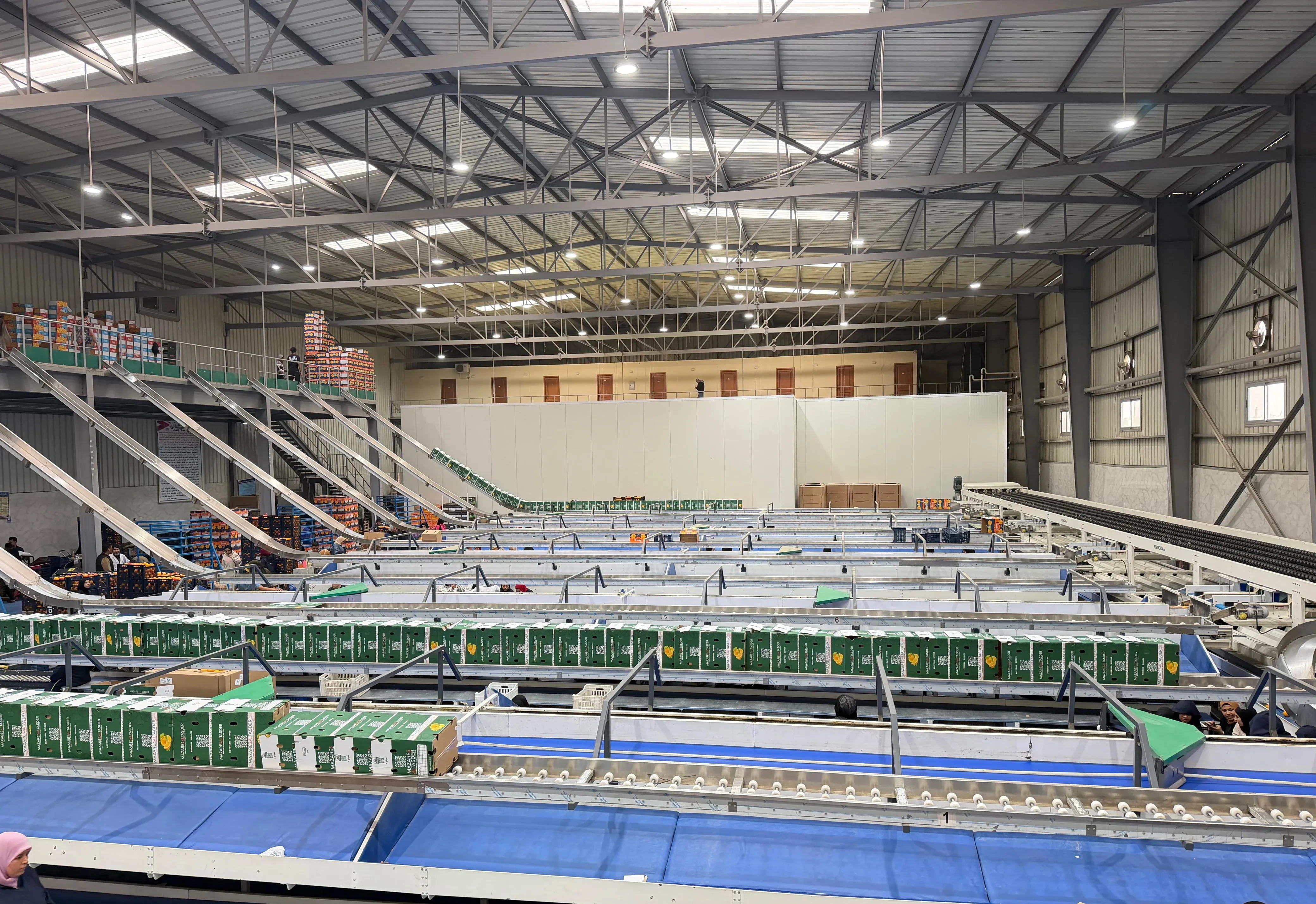 MAZARE3 ALTASDER branded packaging boxes