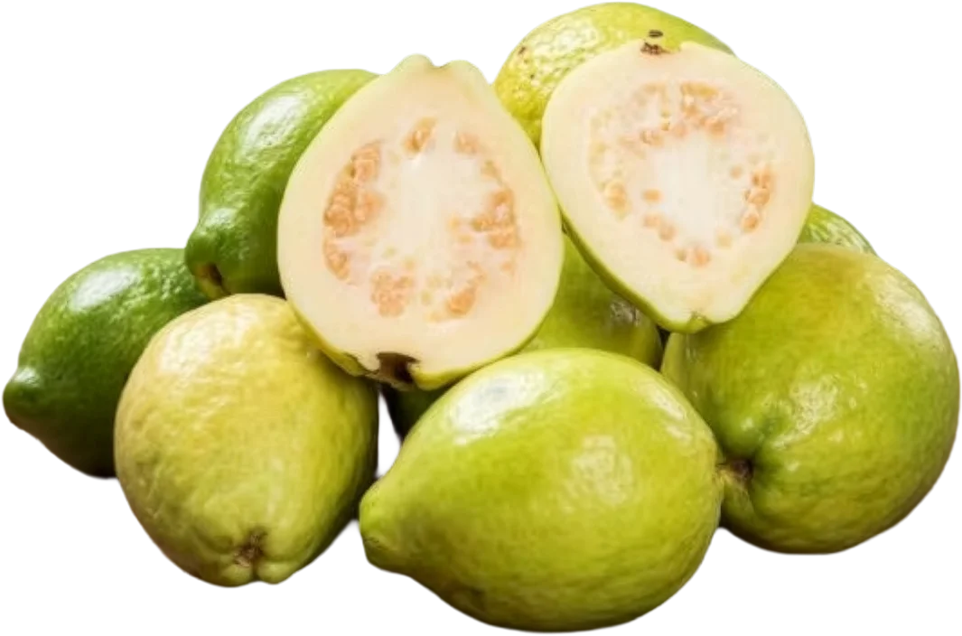 Guava